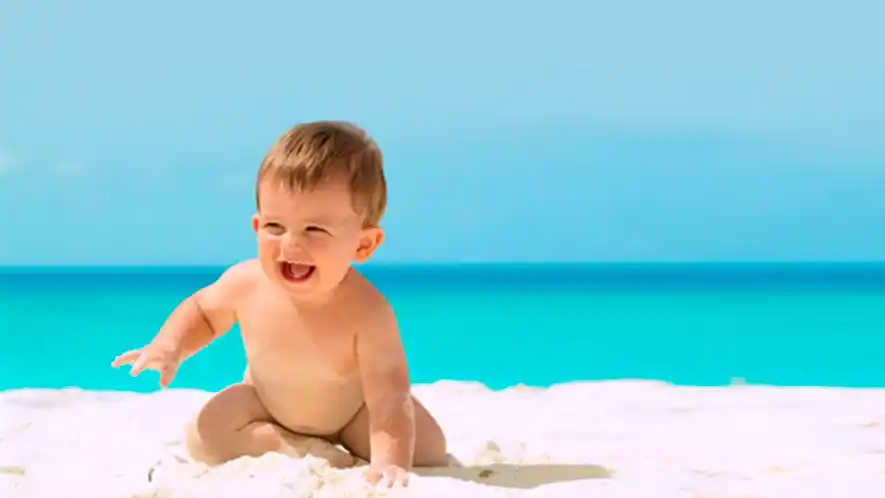 bebe